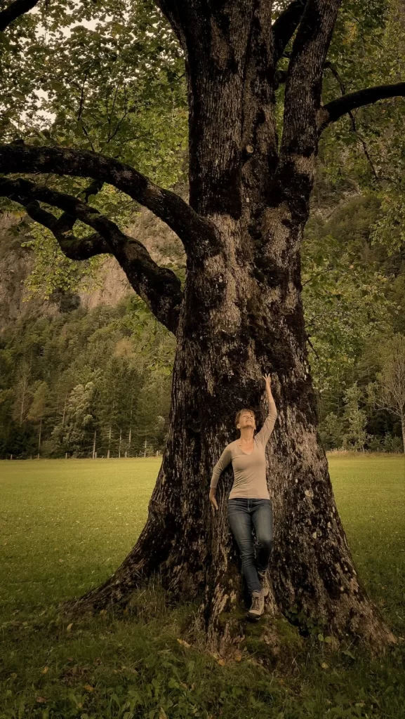 WWG_Hotel_Plesnik_TREE