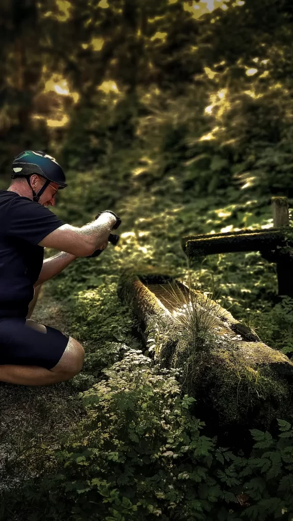 wwg_hOTEL_Plesnik_kolo