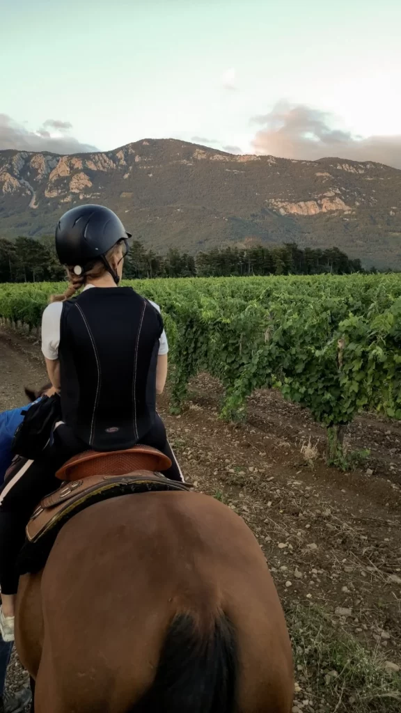 WWG_SPACAPANOVA_tunink