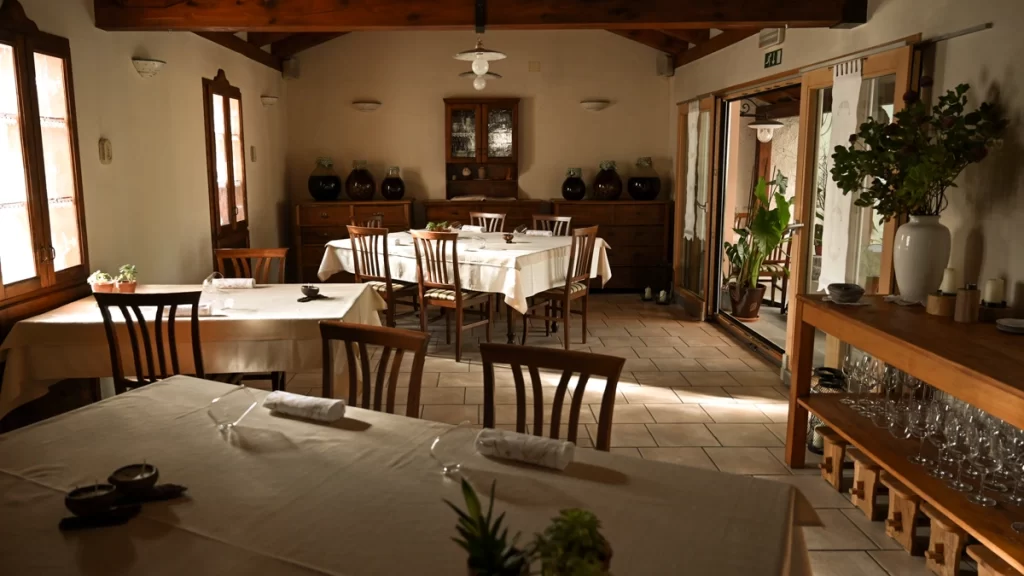 WOODWEGO_blog_trendi_2024 (2)