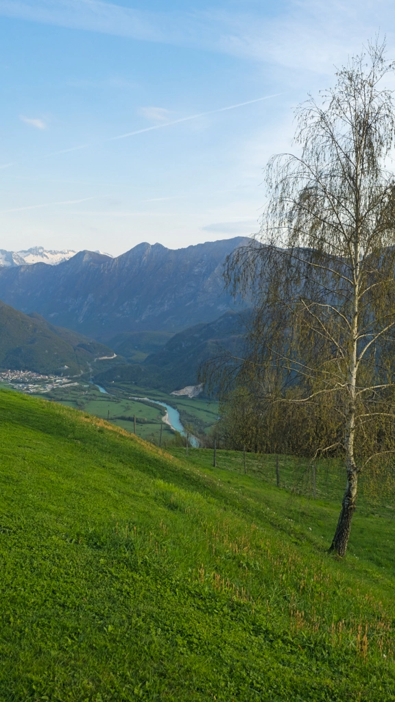 WOODWEGO_Nebesa_Chalets