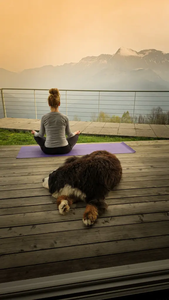 WOODWEGO_vzpon_zavestnih_potovanj (4)