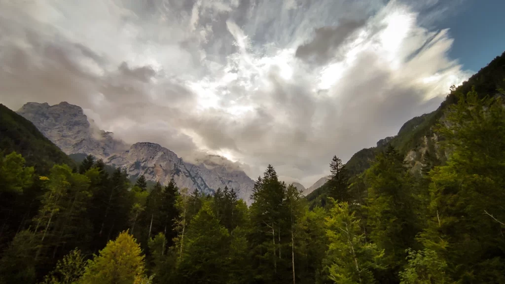 WOODWEGO_vzpon_zavestnih_potovanj (6)