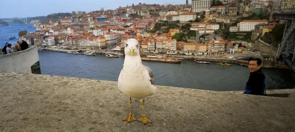 WOOWEGO_Odgovorna_potovanja (2)