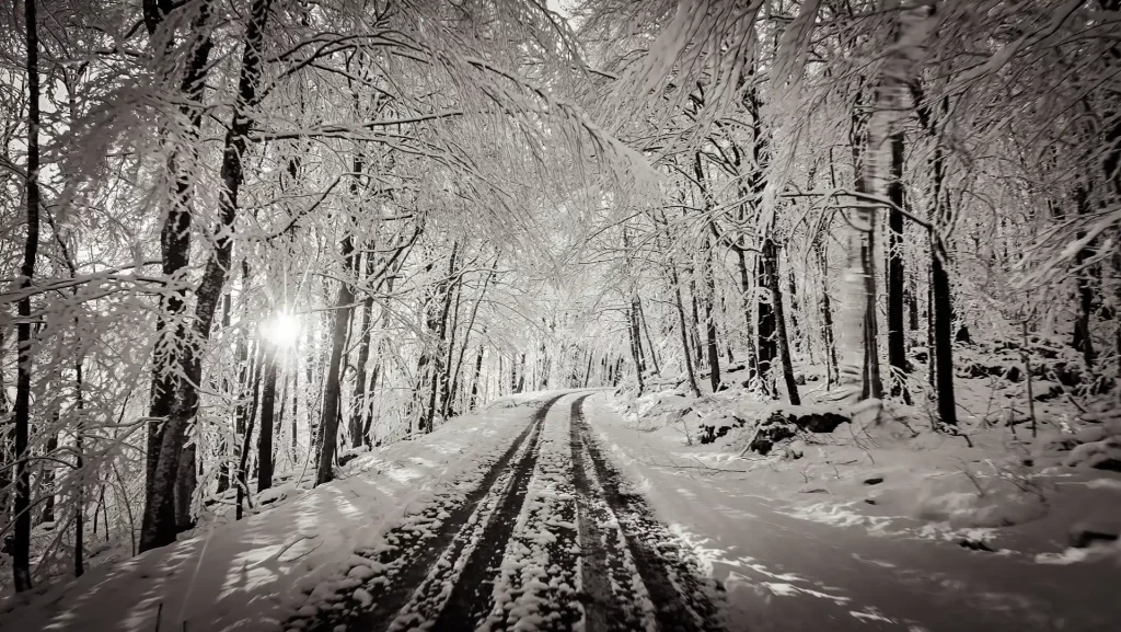 WWG_Blog_Moje_potovanje